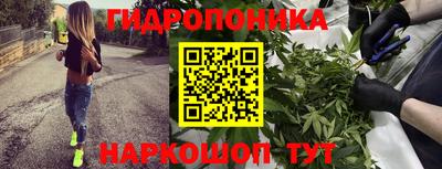 шишки Нарткала